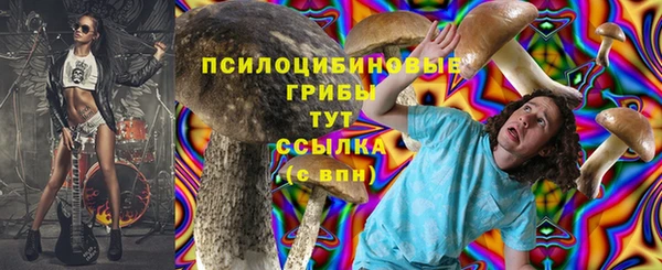 spice Магадан