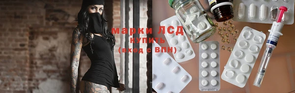 spice Магадан