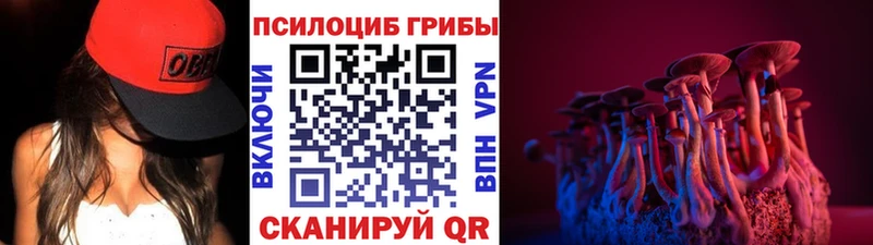 Галлюциногенные грибы мухоморы  Купить закладки  Завитинск 