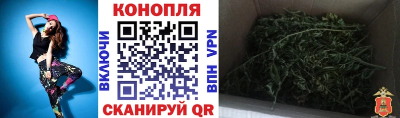 Шишки марихуана марихуана  Купить где  Завитинск 